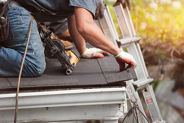Best Local Roofing Companies  in Scott Af, IL
