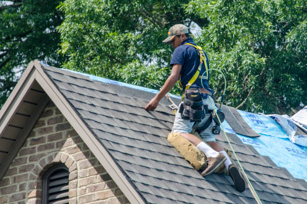 Best Roof Waterproofing Services  in Scott Af, IL
